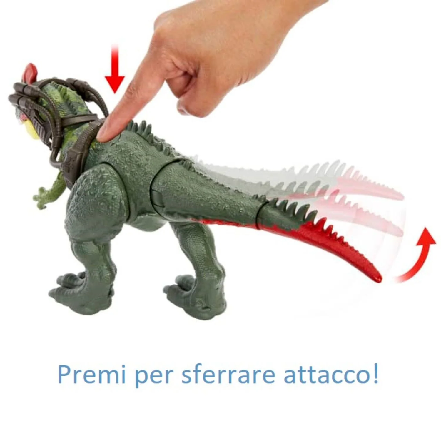 Immagine prodotto 5