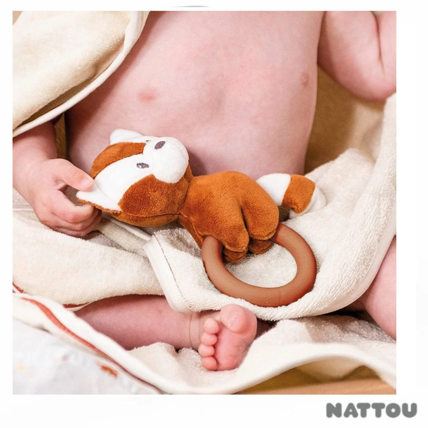 Immagine prodotto 2